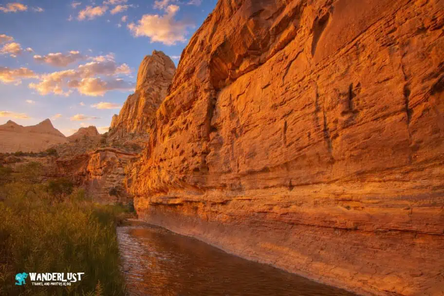 Capitol Reef Park Guide
