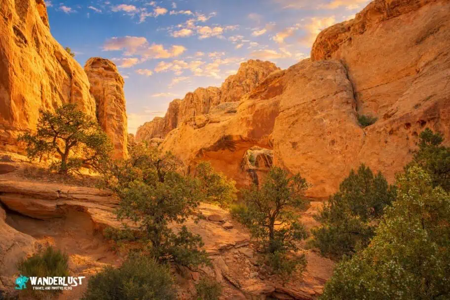 Capitol Reef Park Guide