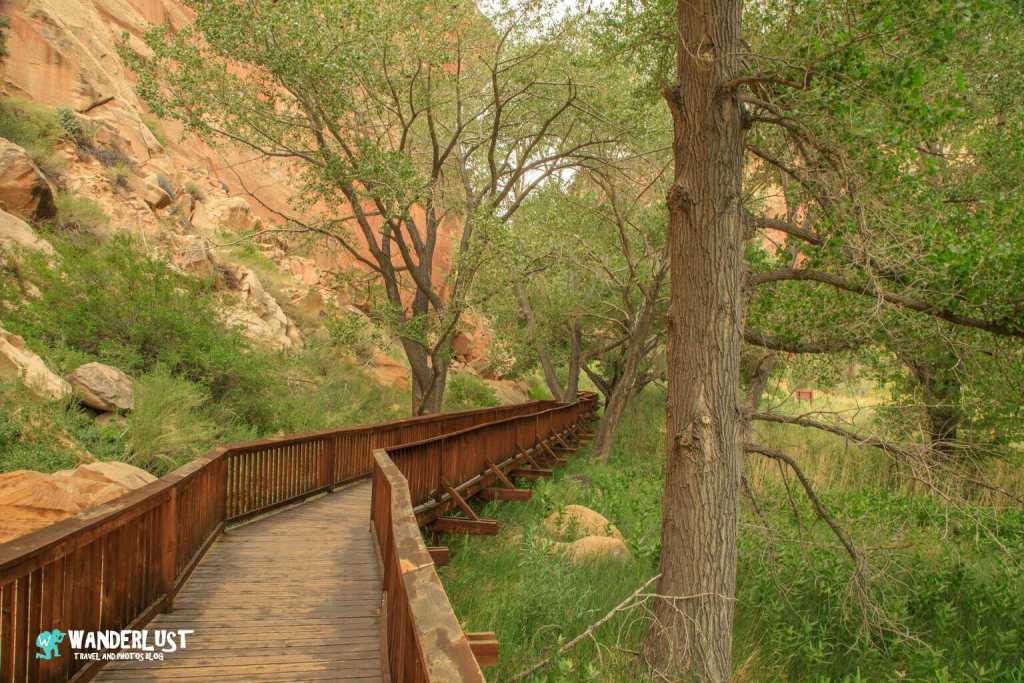 Capitol Reef Park Guide