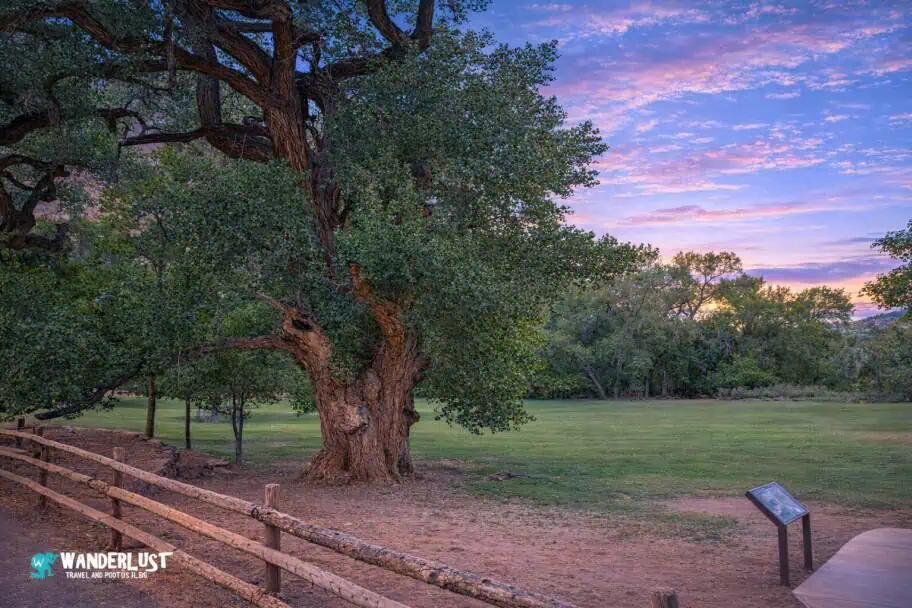 Capitol Reef Park Guide