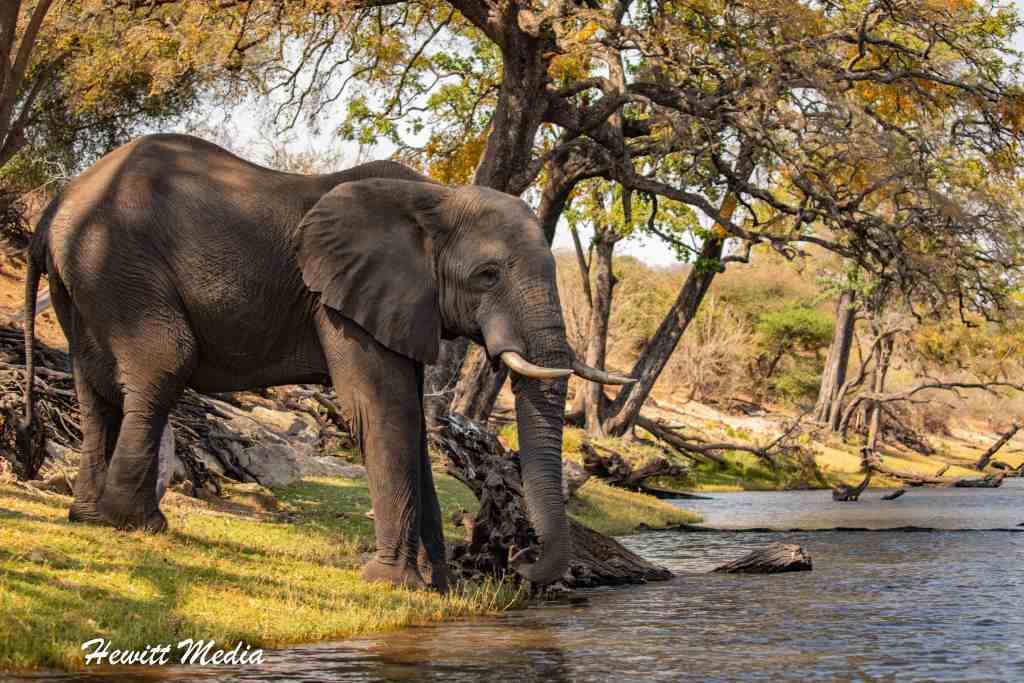 Chobe National Park in Botswana
