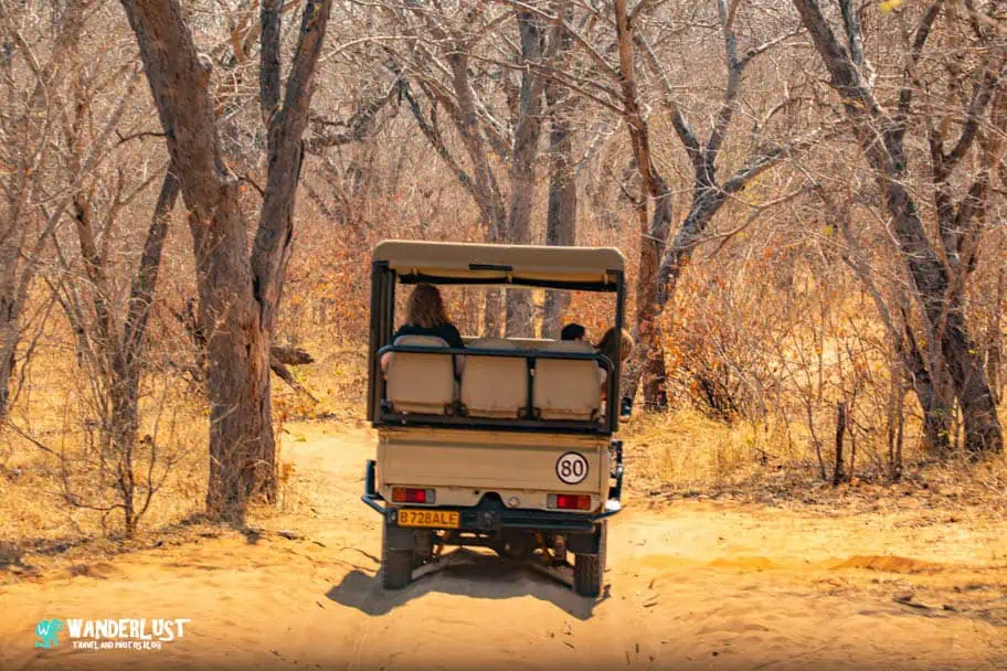 Chobe National Park Safari - Safari in Chobe