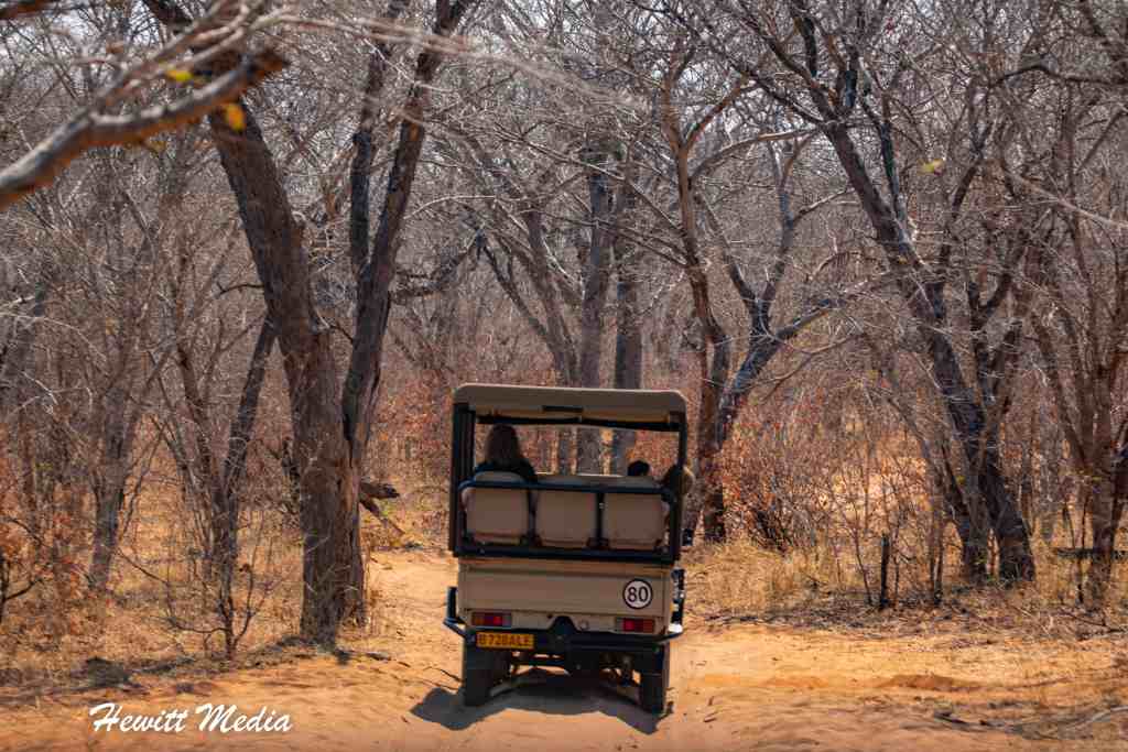 Chobe National Park Safari - Safari in Chobe