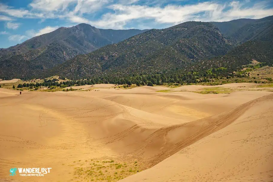 Great Sand Dunes Guide - Great Sand Dunes National Park