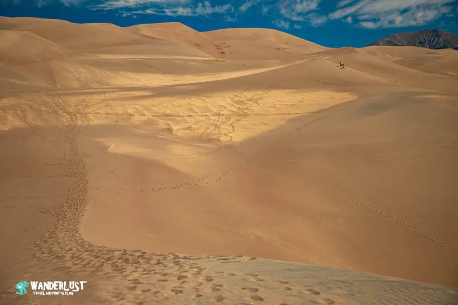 Great Sand Dunes Guide - Great Sand Dunes National Park