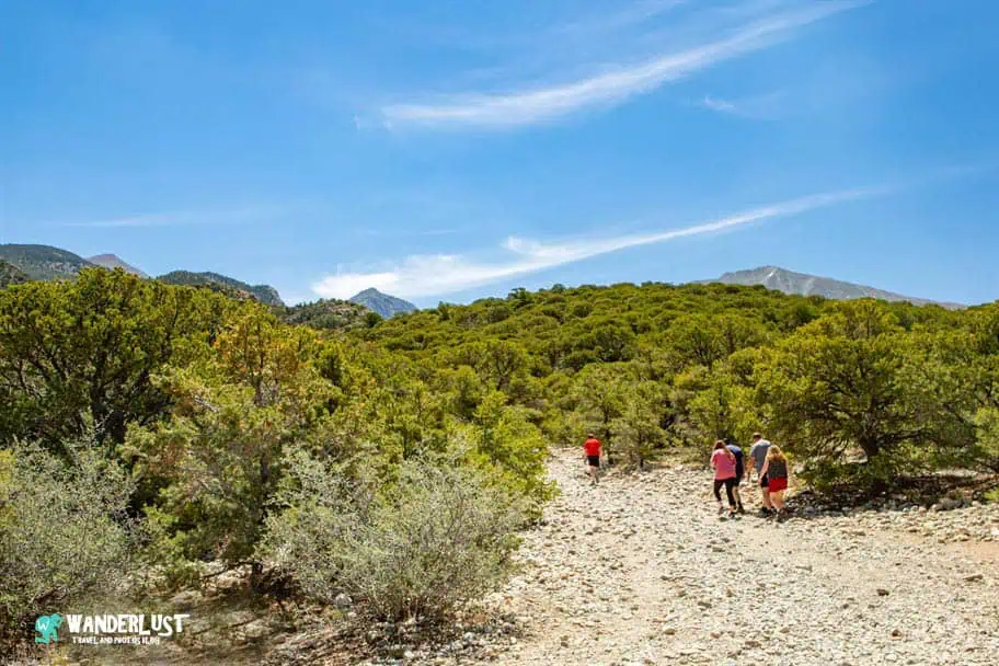 Great Sand Dunes Guide