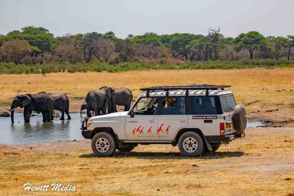 Hwange National Park Safari Elephants