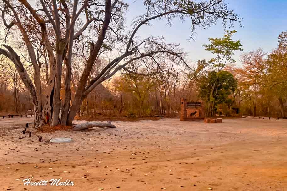 Hwange National Park Safari