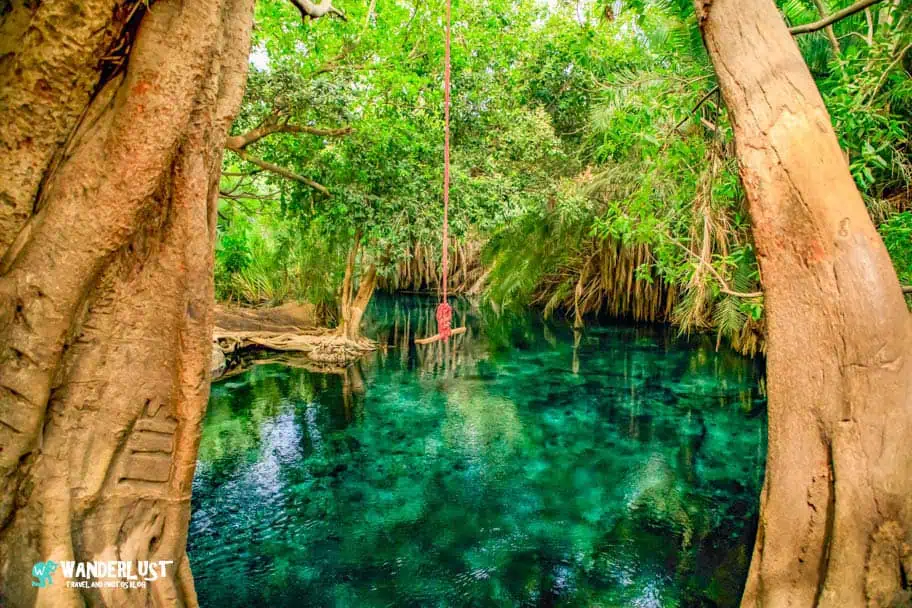 How to Visit the Beautiful Kikuletwa Hot Springs in Tanzania