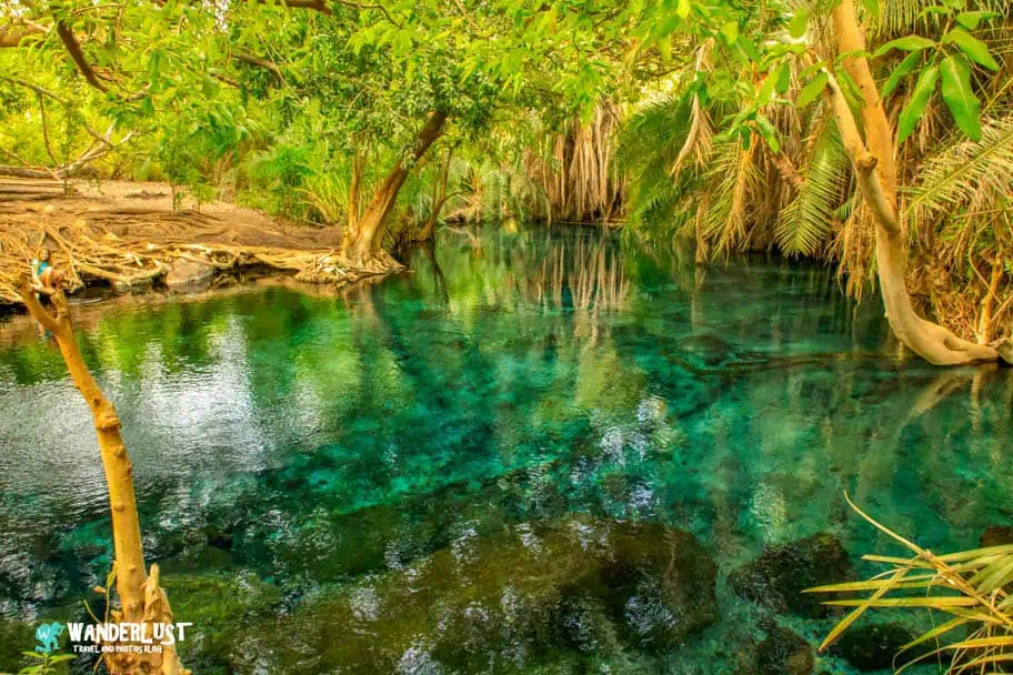 Kikuletwa Hot Springs
