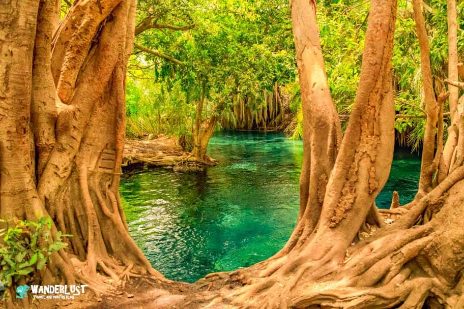 How to Visit the Beautiful Kikuletwa Hot Springs in Tanzania