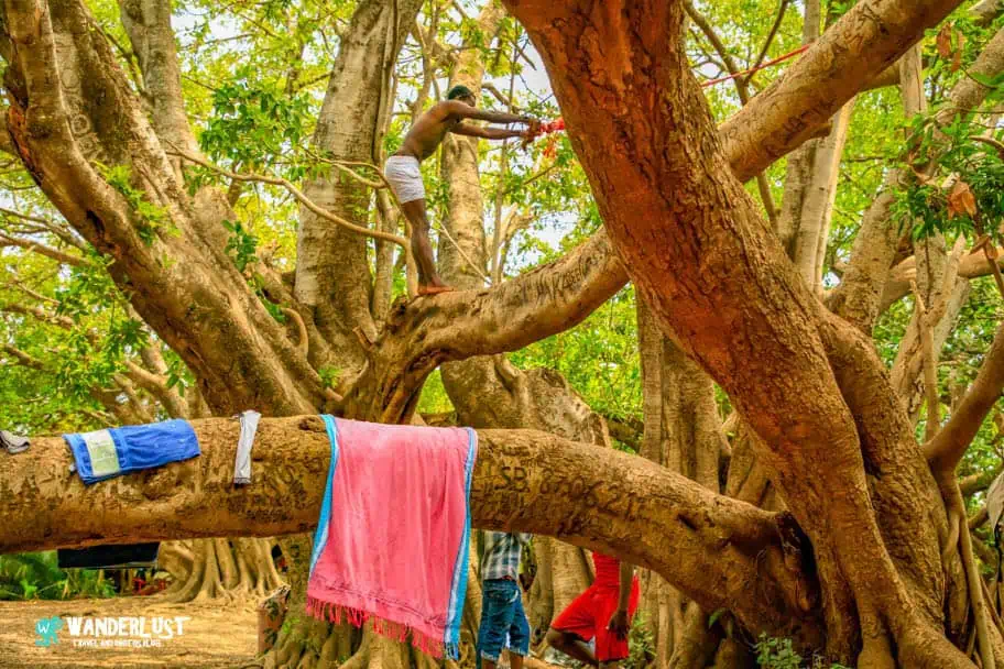 Kikuletwa Hot Springs