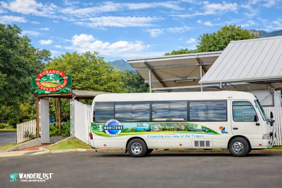 Kuranda Rainforest guide