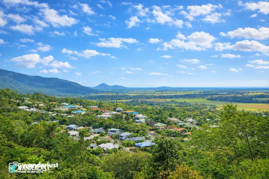 Kuranda Rainforest guide