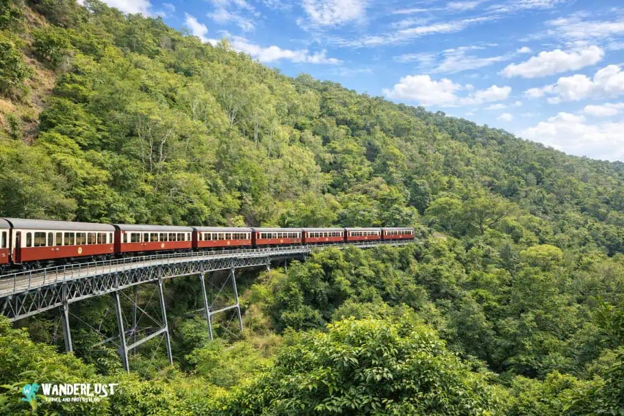 Kuranda Rainforest guide