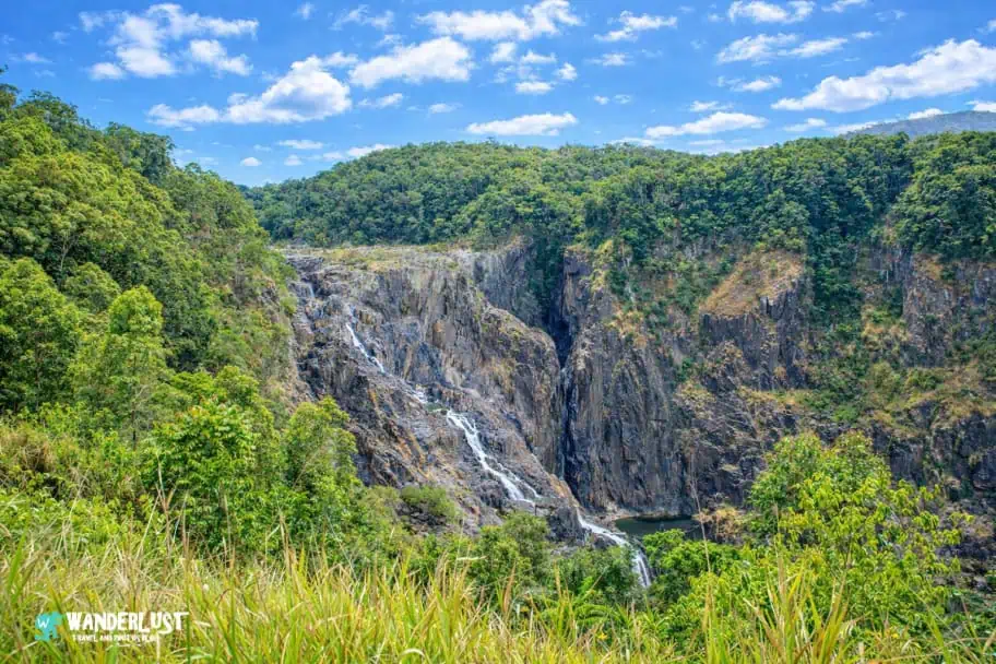 Kuranda Rainforest guide