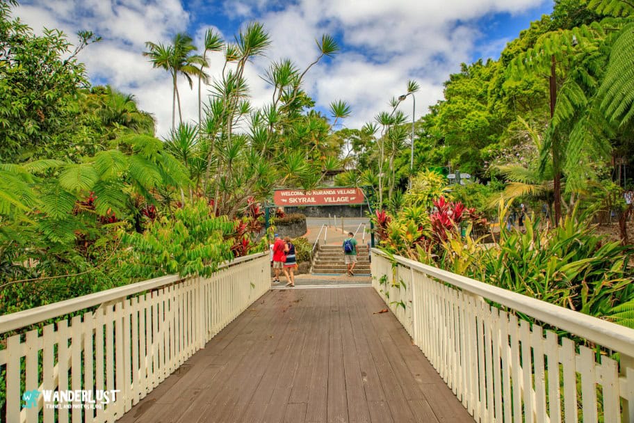 Kuranda Rainforest guide