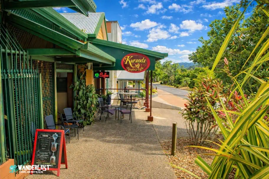 Kuranda Rainforest guide