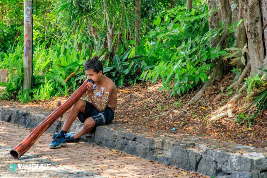 Kuranda Rainforest guide