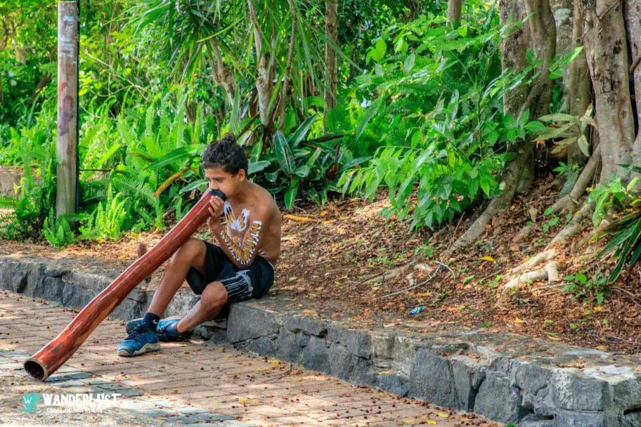 Kuranda Rainforest guide