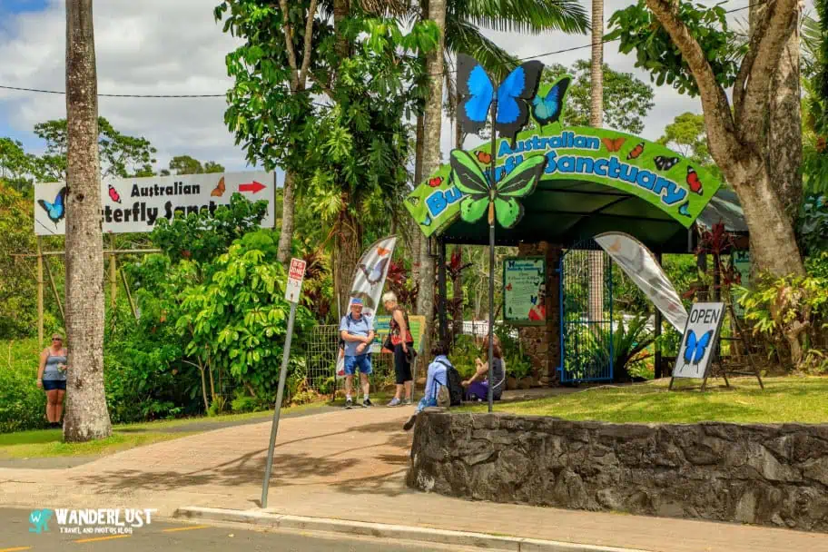 Kuranda Rainforest guide