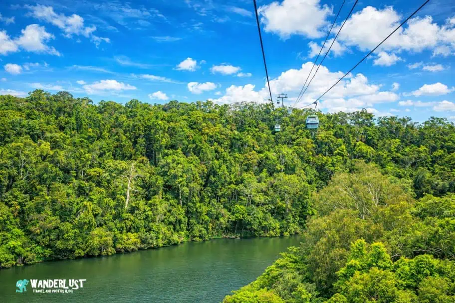 Kuranda Rainforest guide