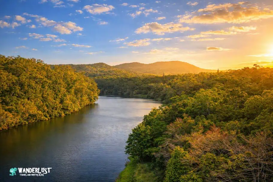 The Complete Kuranda Rainforest Guide for Visitors