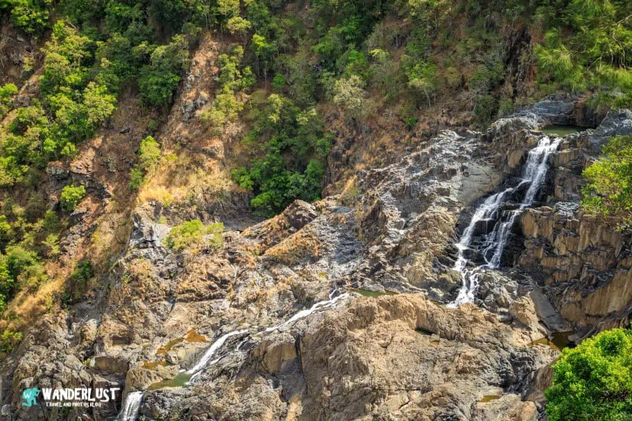 Kuranda Rainforest guide