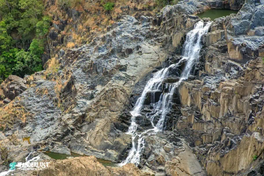 Kuranda Rainforest guide