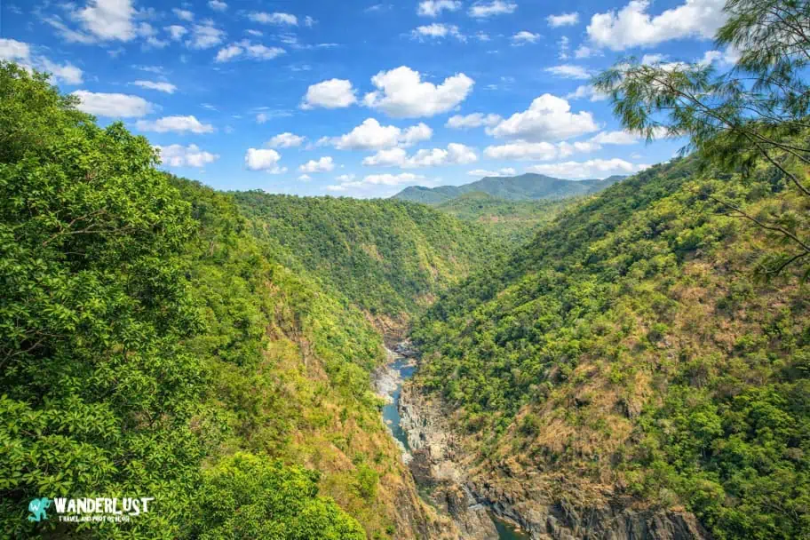 Kuranda Rainforest guide