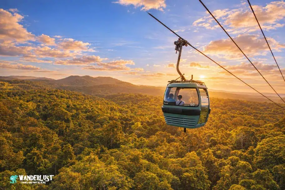 Kuranda Rainforest guide