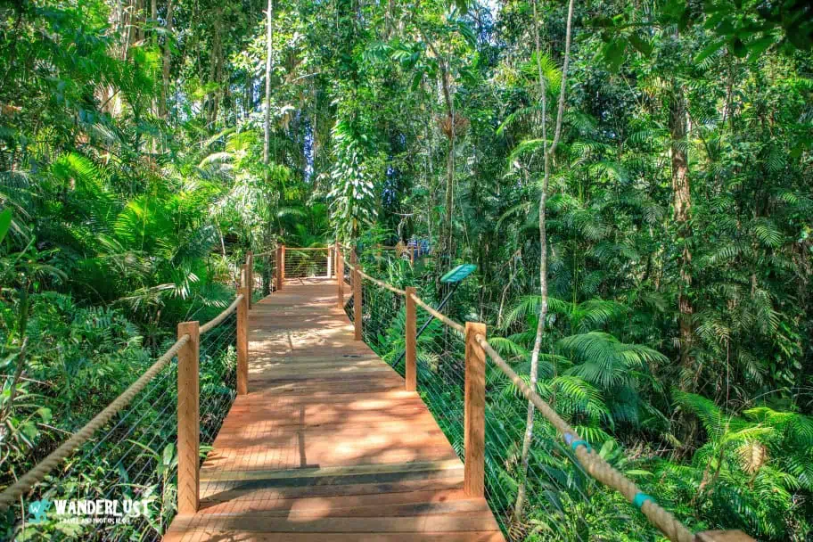 Kuranda Rainforest guide