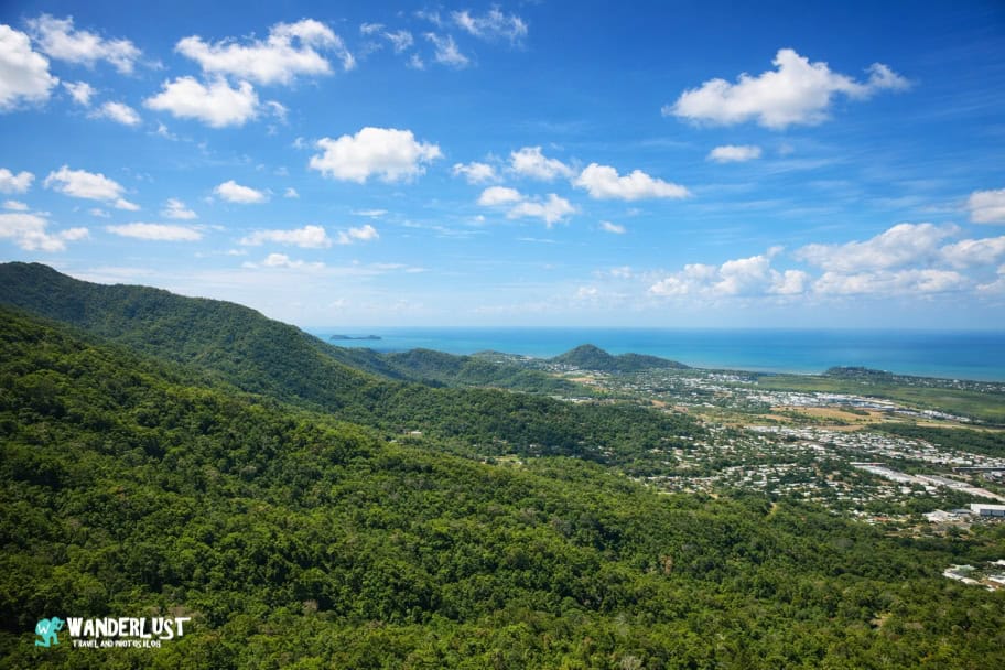Kuranda Rainforest guide