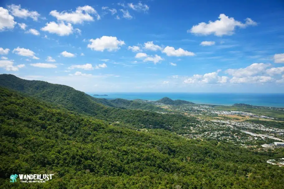 Kuranda Rainforest guide