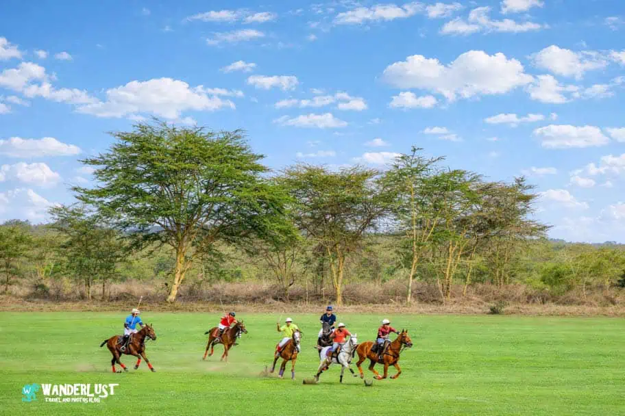 Nduruma Polo