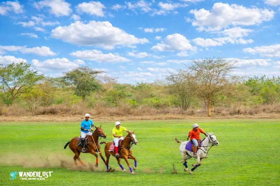 Nduruma Polo