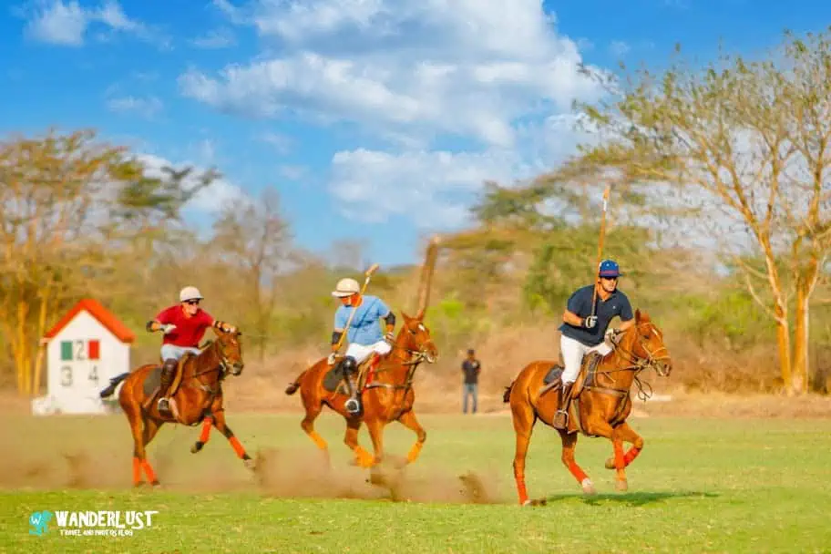 Nduruma Polo