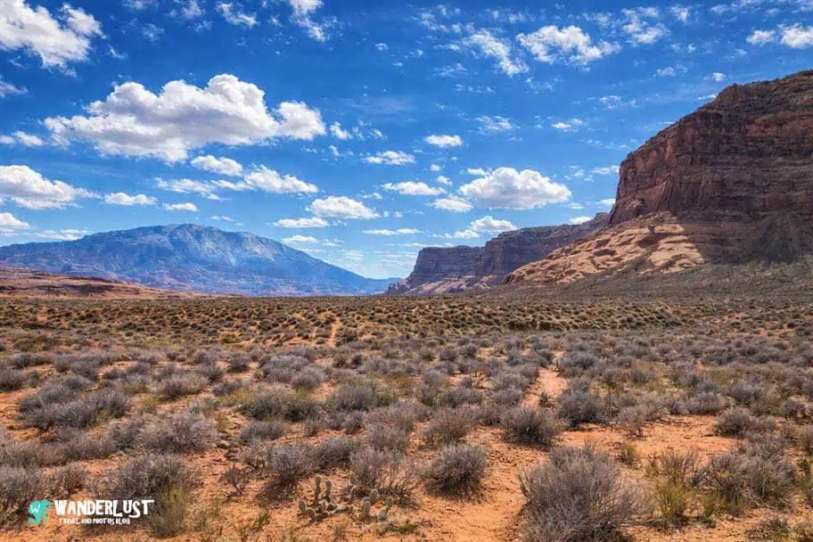 Reflection Canyon Trail Guide