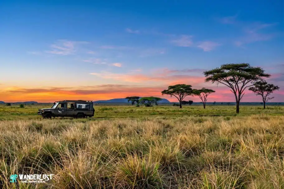Serengeti National Park Safari