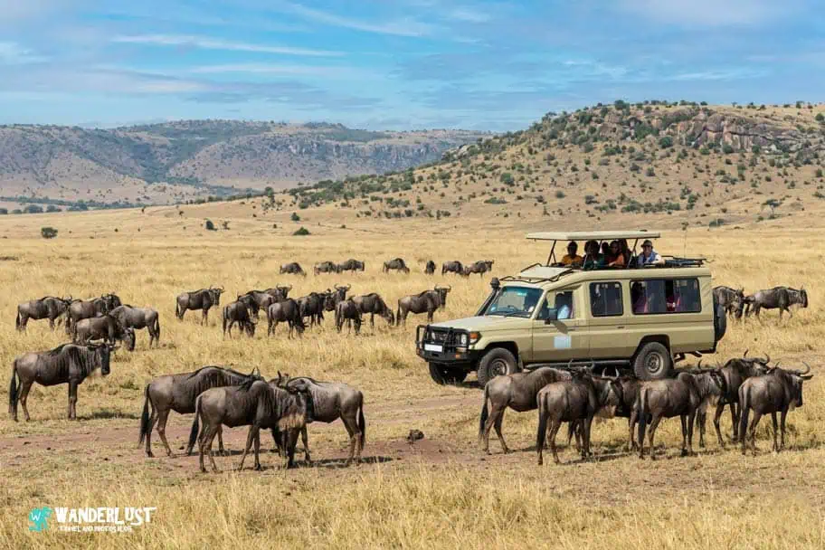 Serengeti National Park Serengeti National Park