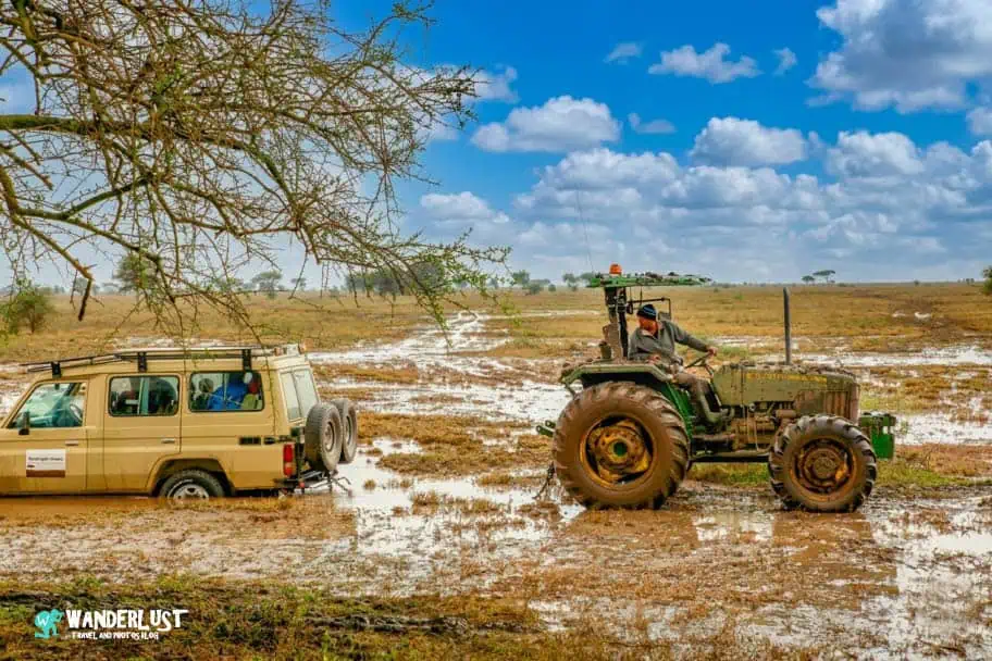 Stuck in the Serengeti Serengeti National Park