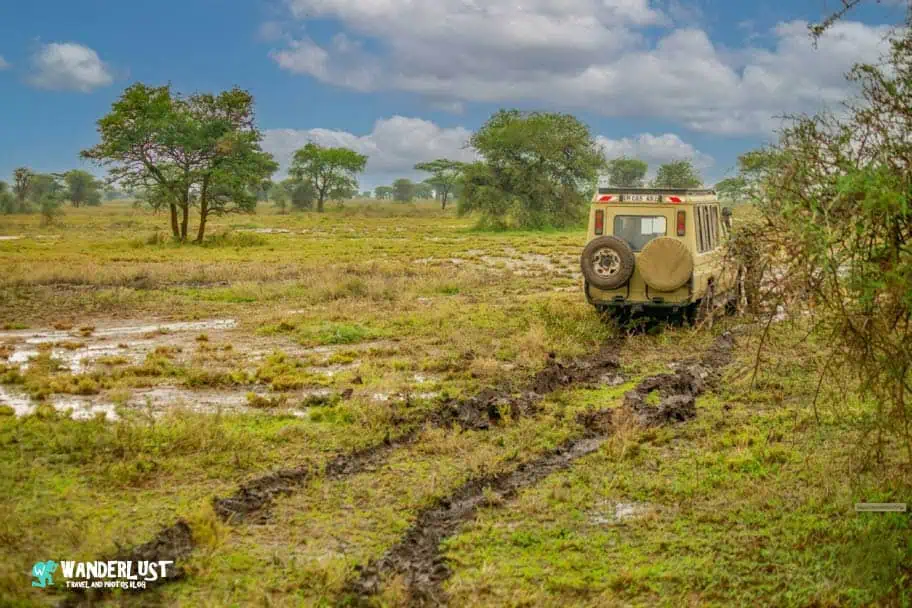 Serengeti National Park Safari
