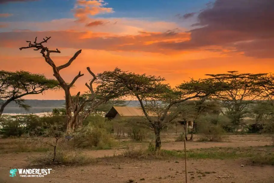 Camping in the Serengeti Camping in the Serengeti