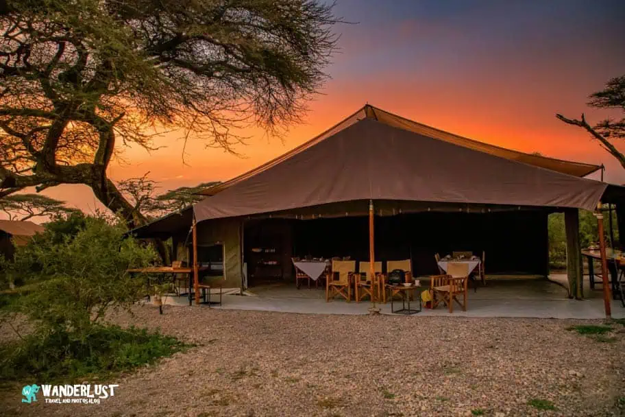 Camping in the Serengeti Camping in the Serengeti