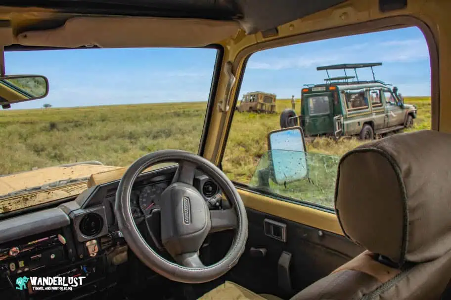 Serengeti National Park Safari