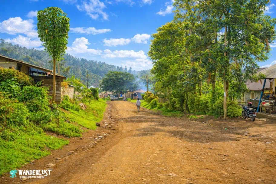Kahawa Coffee Tour in Tanzania