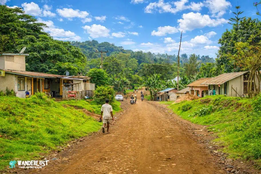 Kahawa Coffee Tour in Tanzania