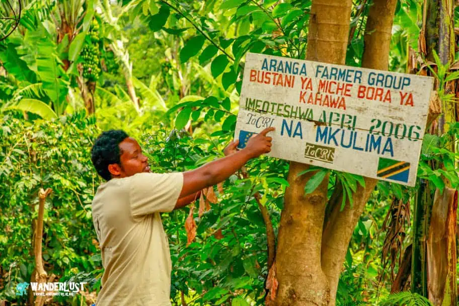 Kahawa Coffee Tour in Tanzania