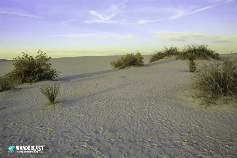 White Sands Visitor Guide