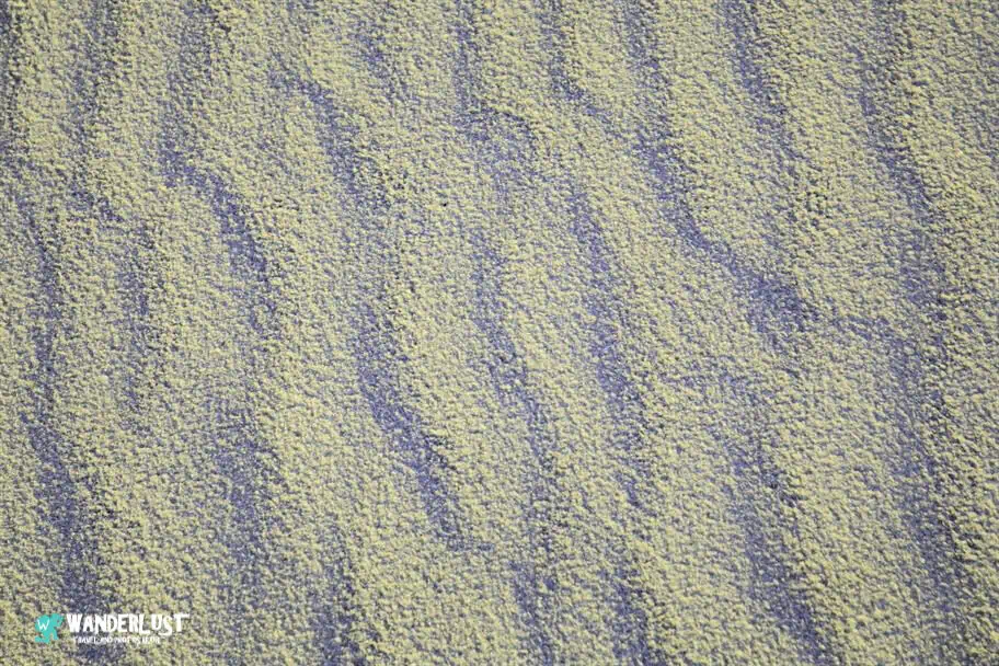 White Sands Visitor Guide